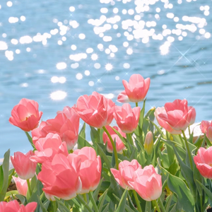 不知火舞裸露双奶头让人❌小说
